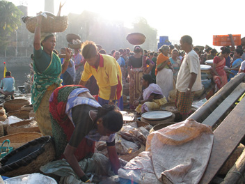 Marché aux poissons