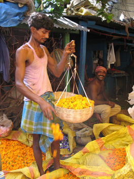 Marché aux fleurs